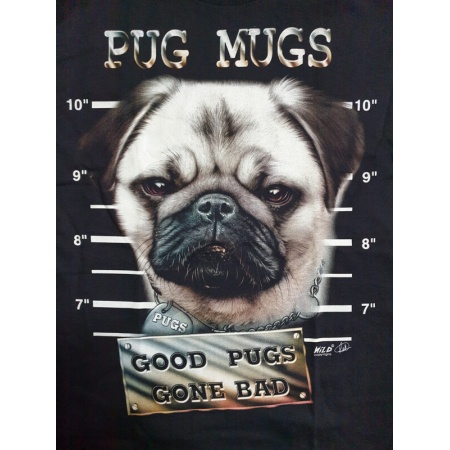 img-20201215-wa0020