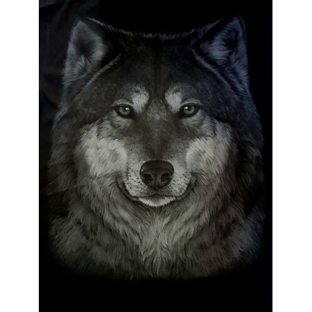 shirts-011