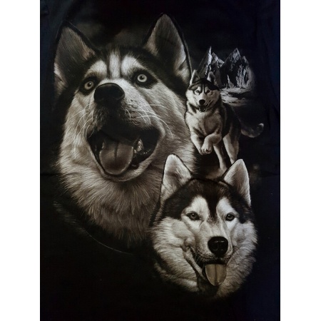 shirts-017